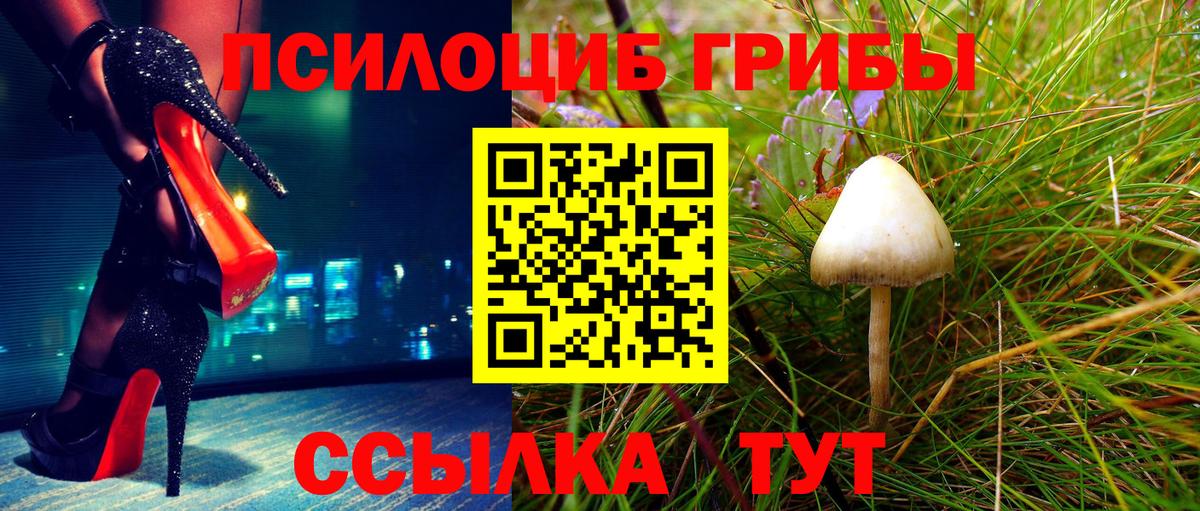 Галлюциногенные грибы Cubensis  Вход с VPN  закладки  Шатура 