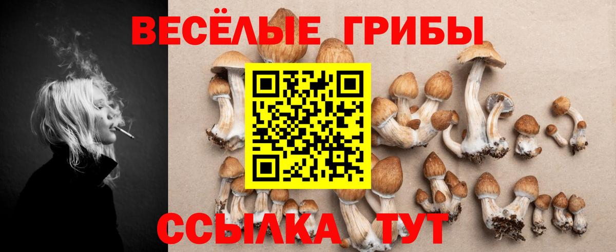 Галлюциногенные грибы GOLDEN TEACHER Шатура